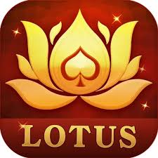 yummy rummy all download